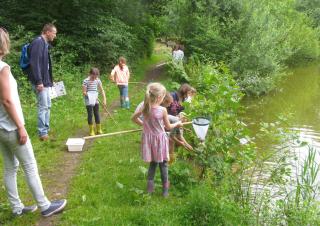 Kleine beestjes vangen in omgeving Wolfslaar