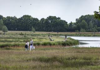 Wolfslaar: wandelen